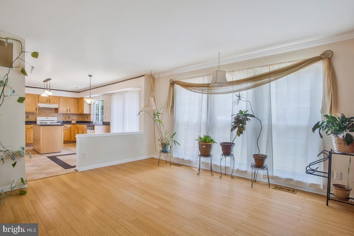 2312 Kanegis Drive photo 19