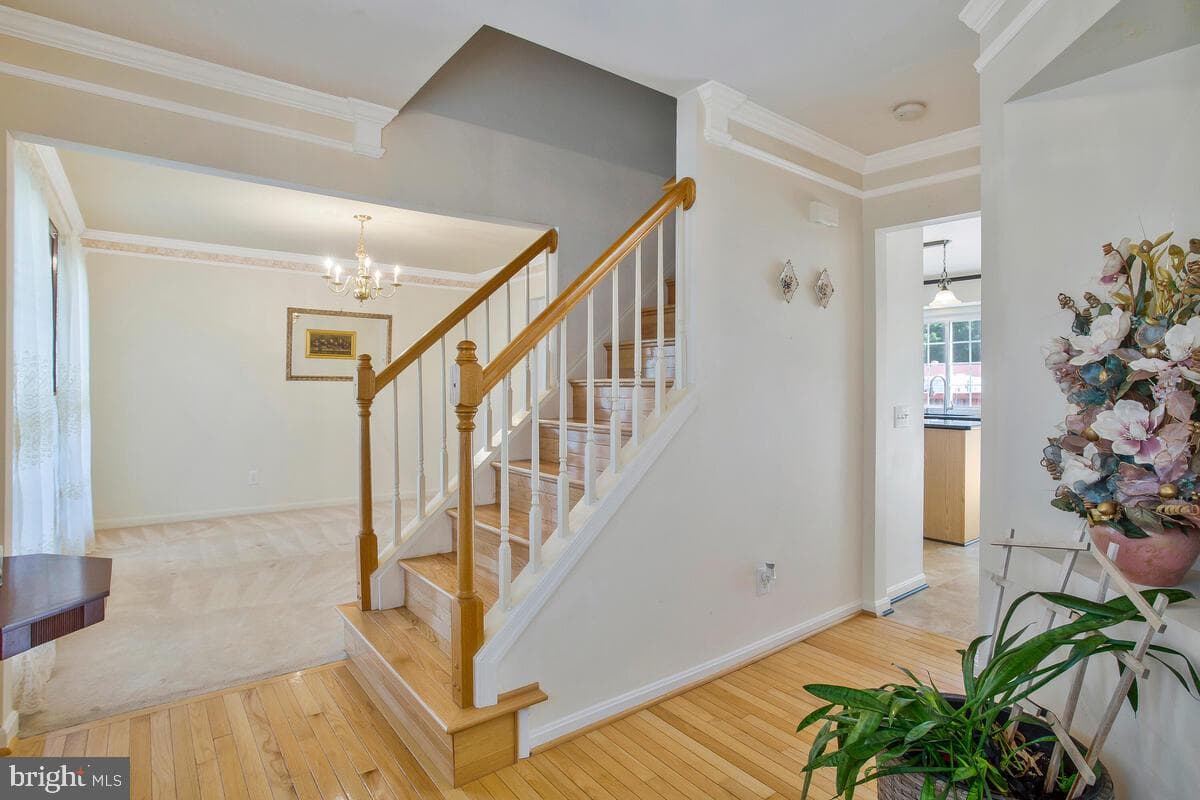 2312 Kanegis Drive photo 5