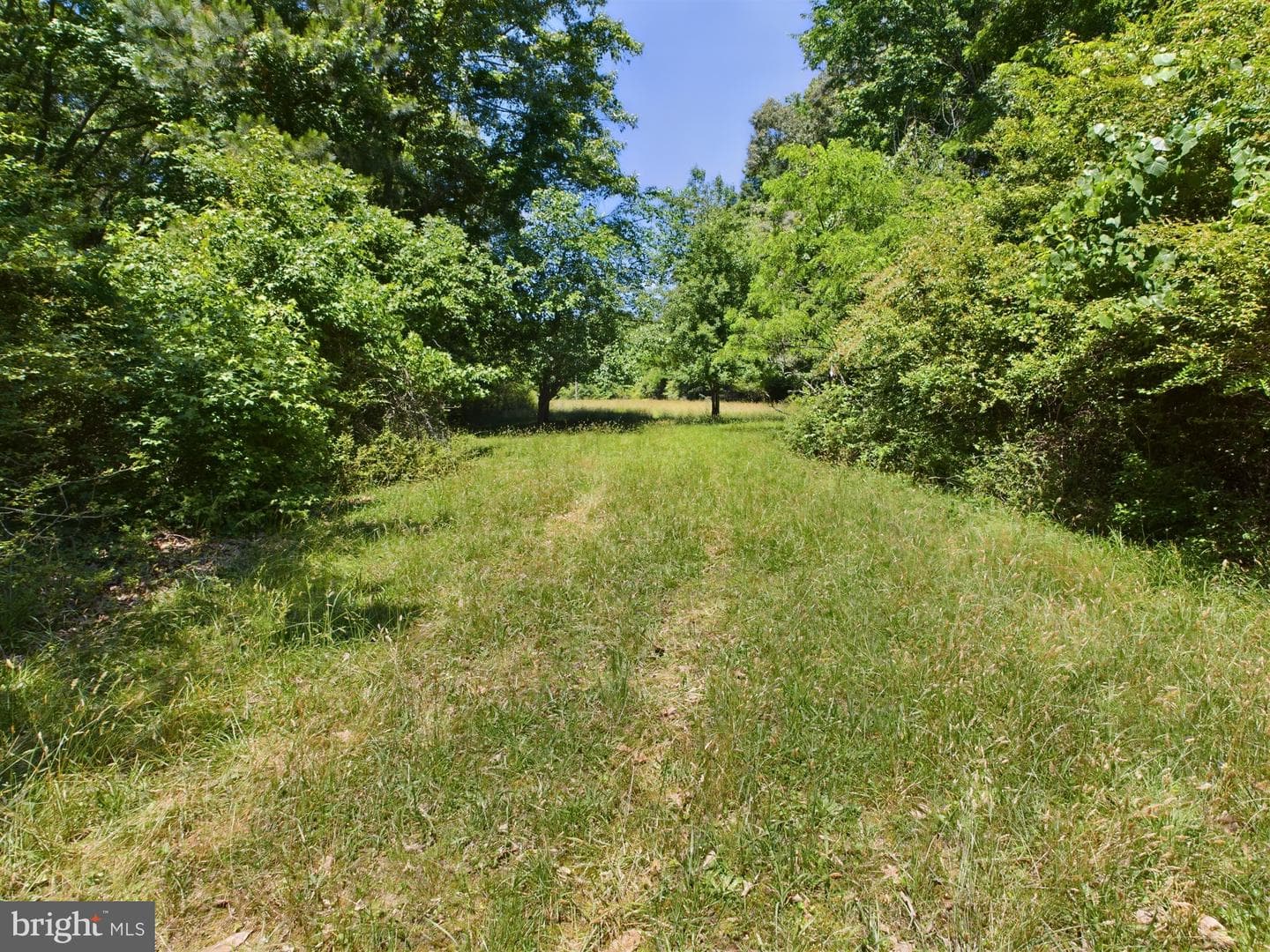13533 Furbush Road photo 29