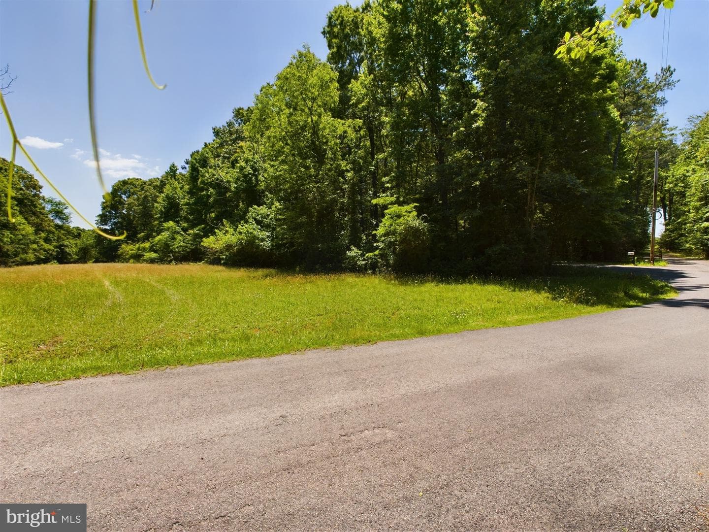 13533 Furbush Road photo 33