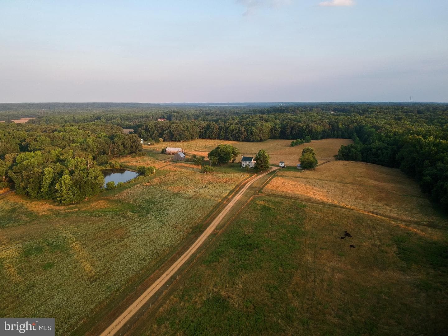 9885 Heatherstone Drive photo 4