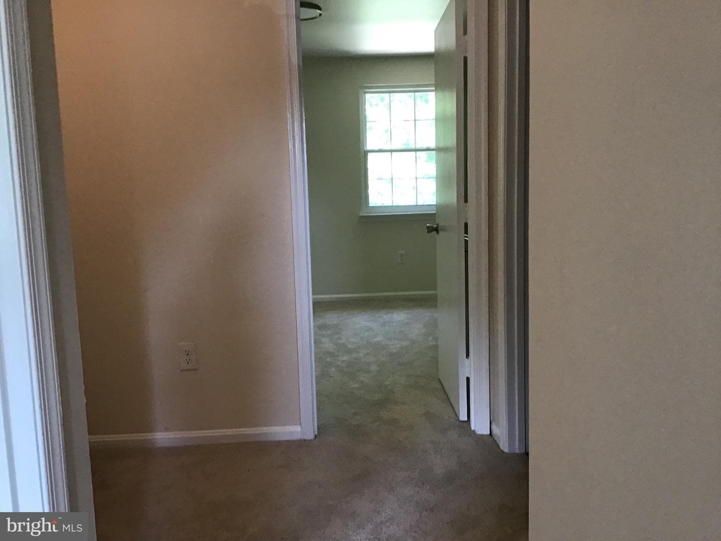 4453 Eagle Court photo 17