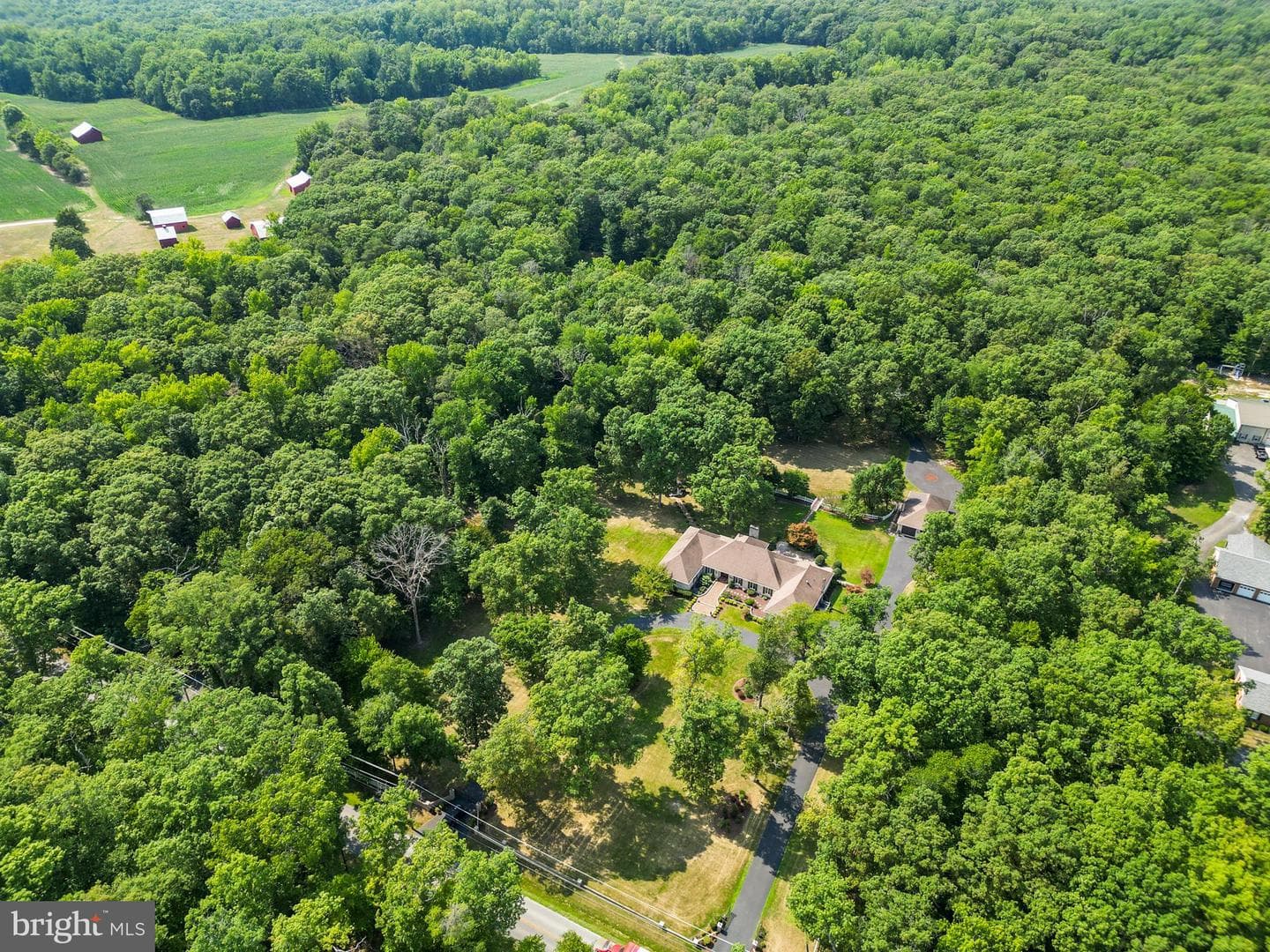 8880 Mitchell Road photo 111