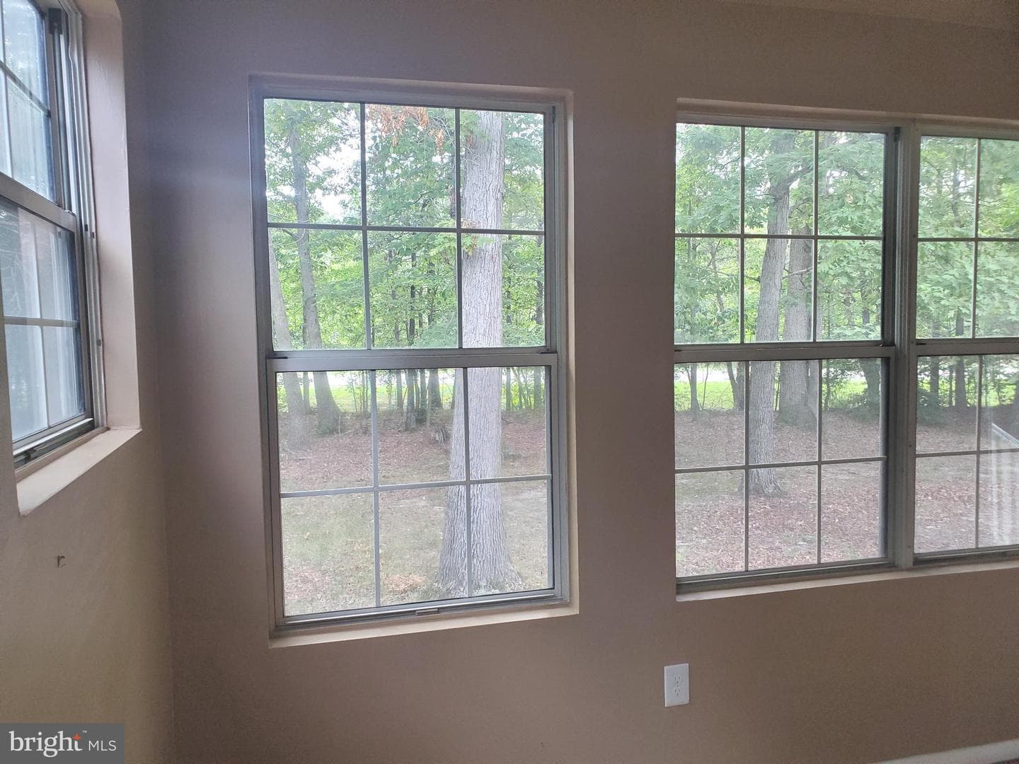 2401 Shade Oak Court photo 7