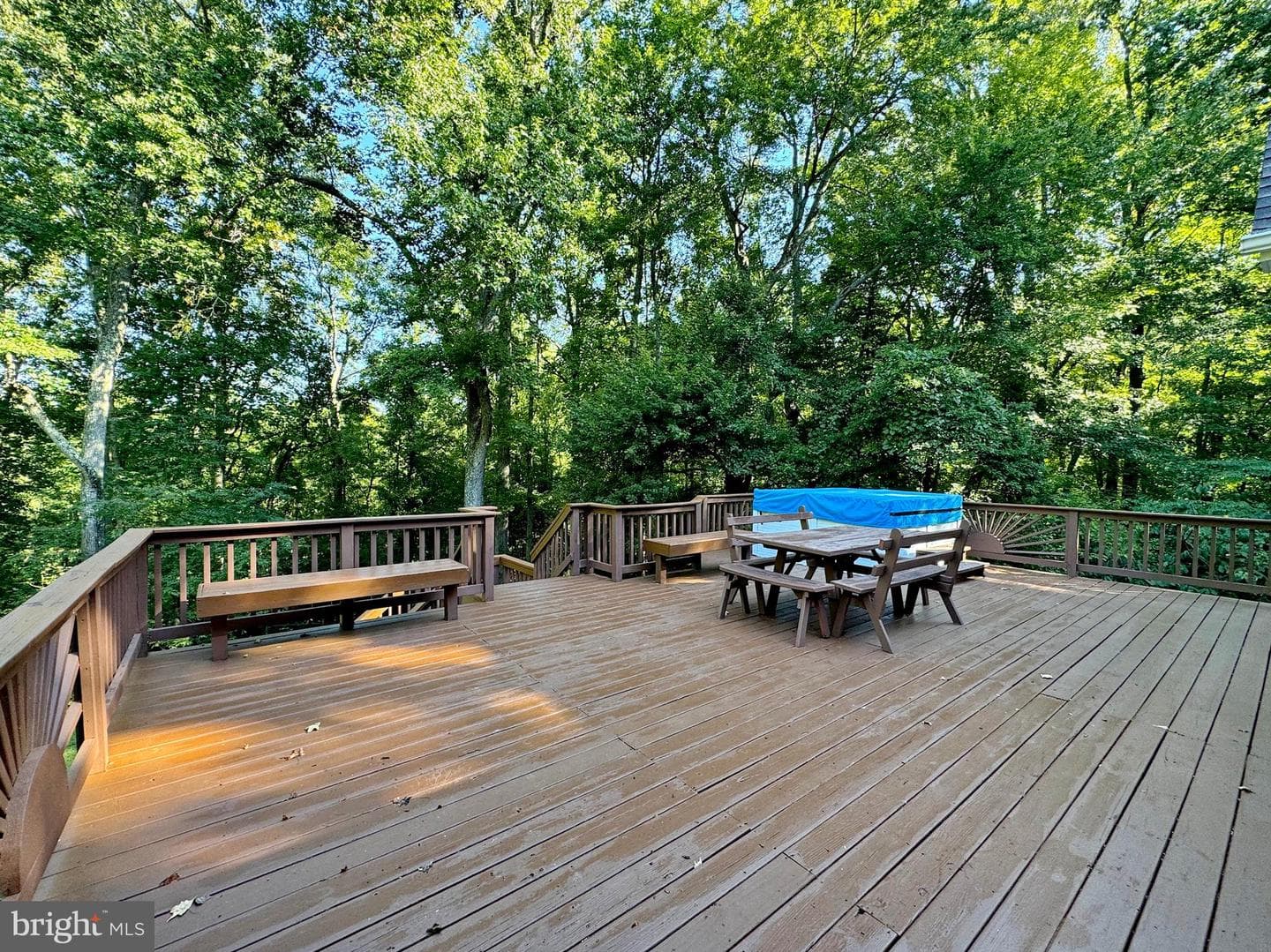11750 Delicious Place photo 89