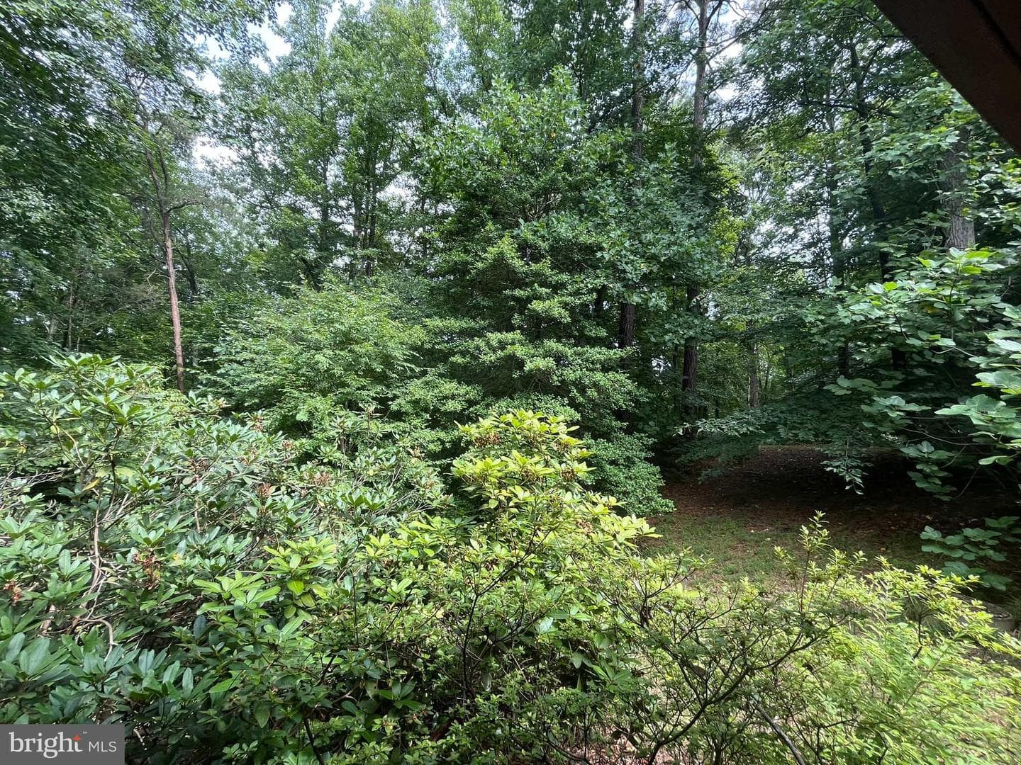 16010 Meandering Drive photo 50