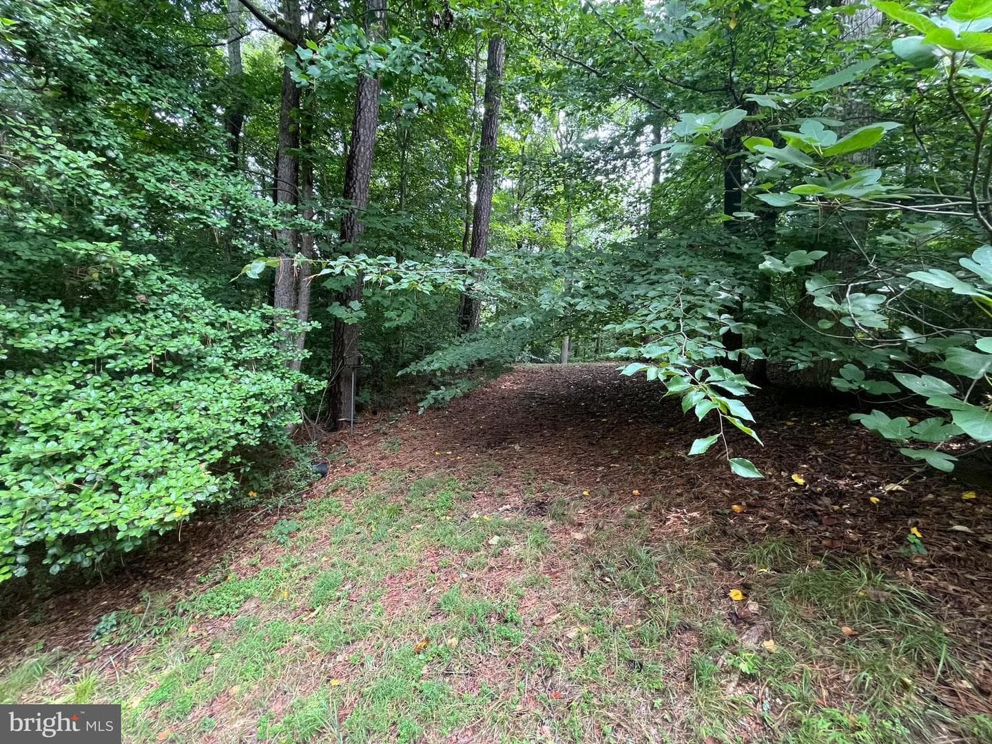 16010 Meandering Drive photo 52