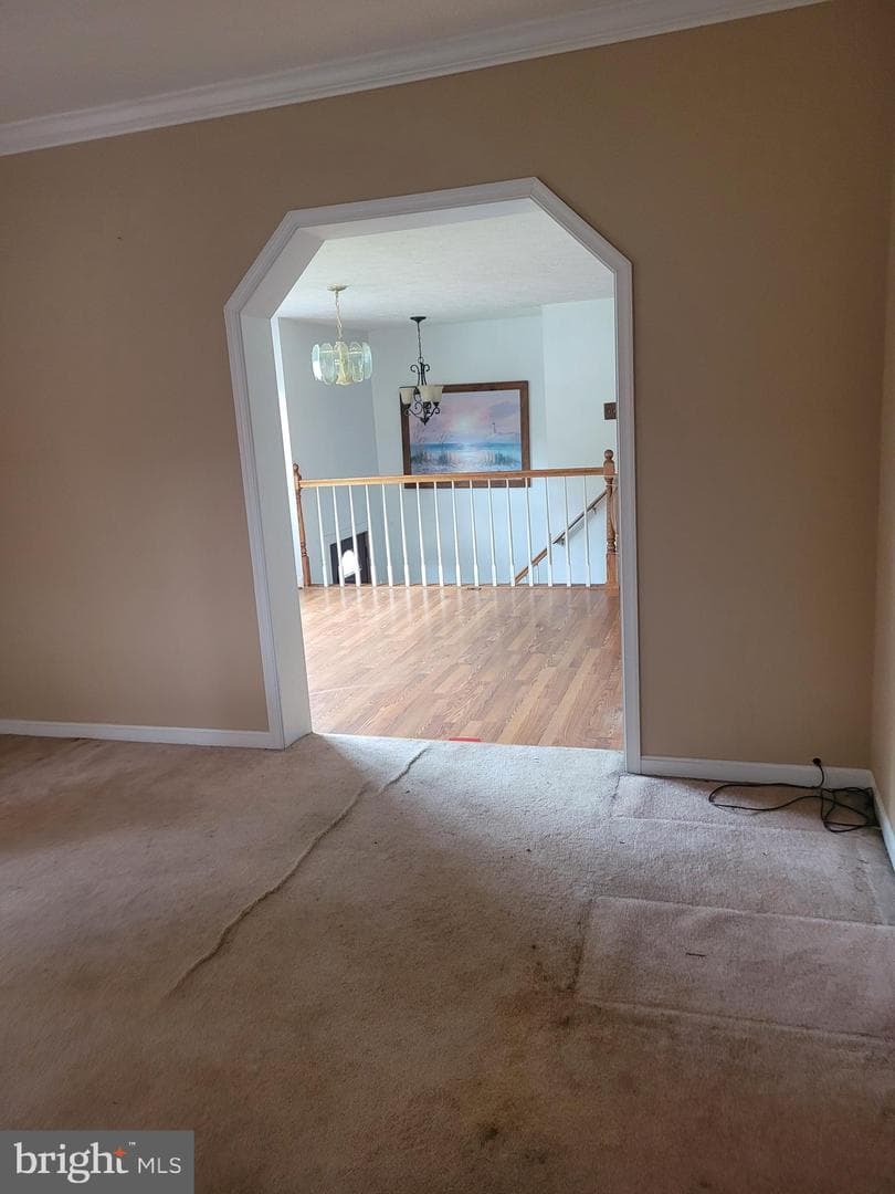 9831 Sylvan Turn photo 9