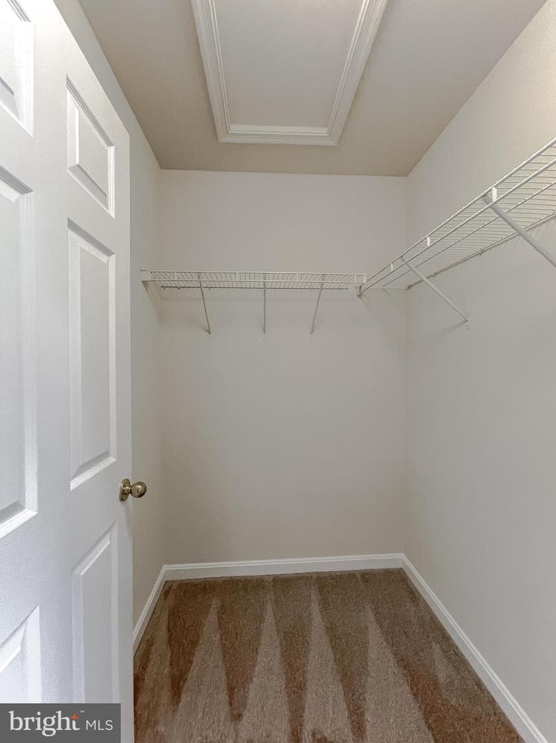 10190 Tree Frog Place photo 21