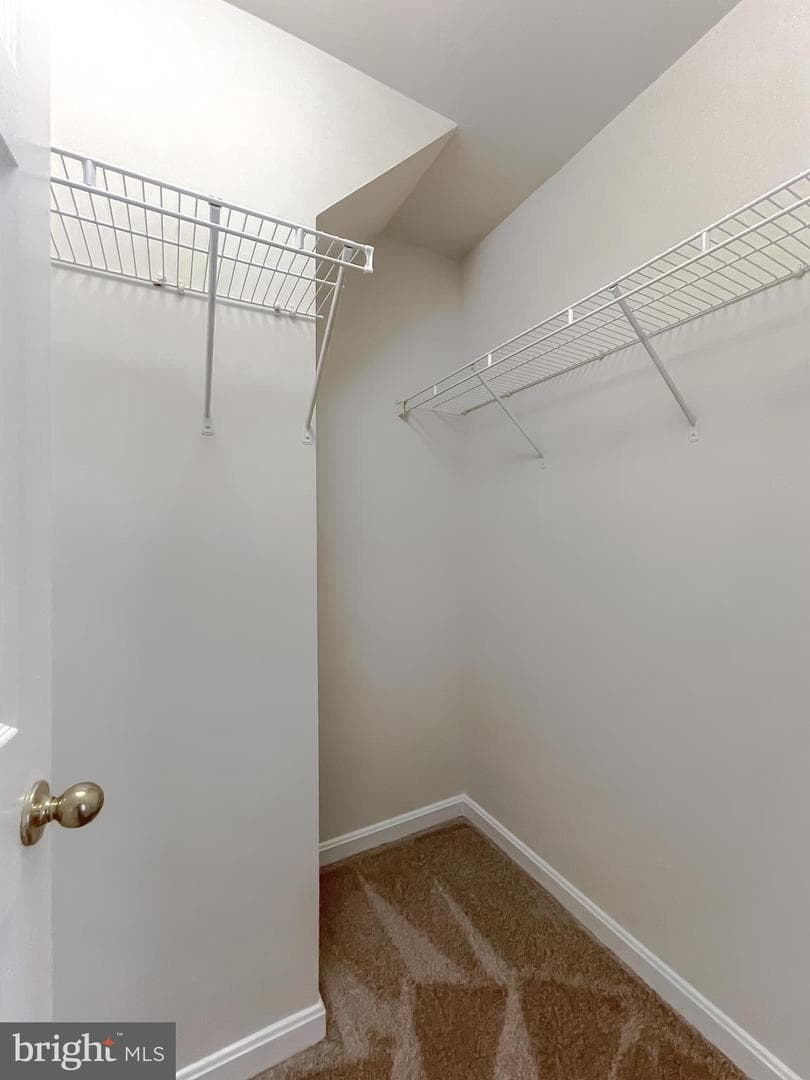 10190 Tree Frog Place photo 25
