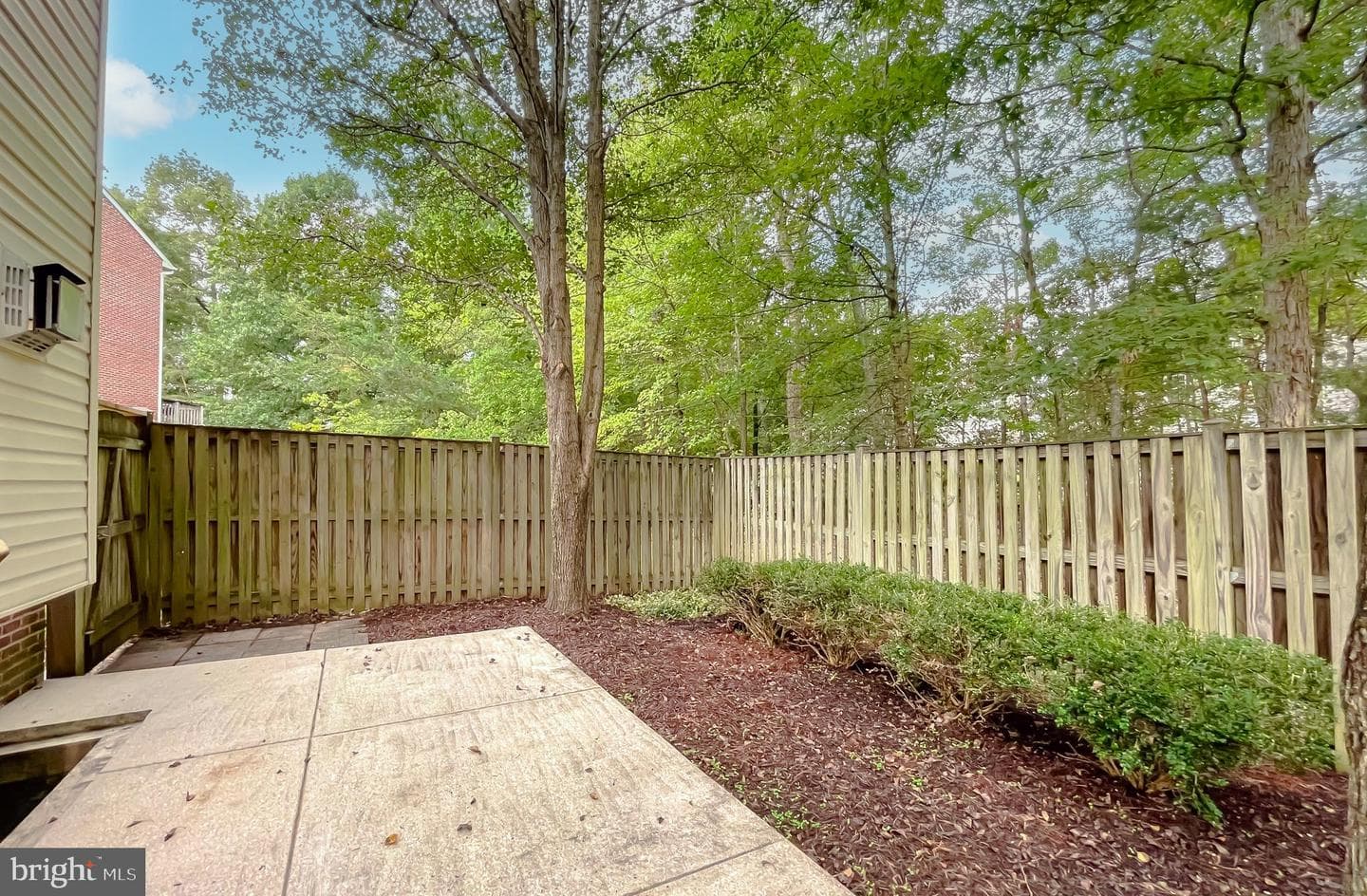 10190 Tree Frog Place photo 46