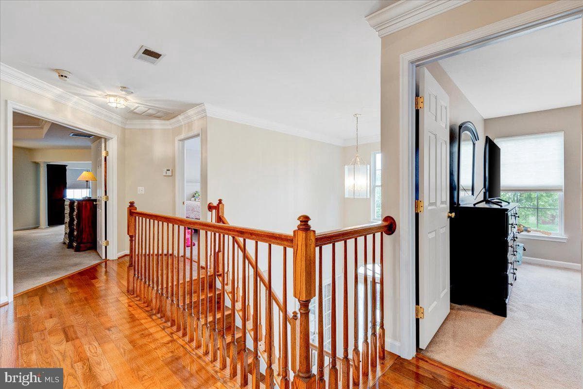 3030 Lundt Court photo 29