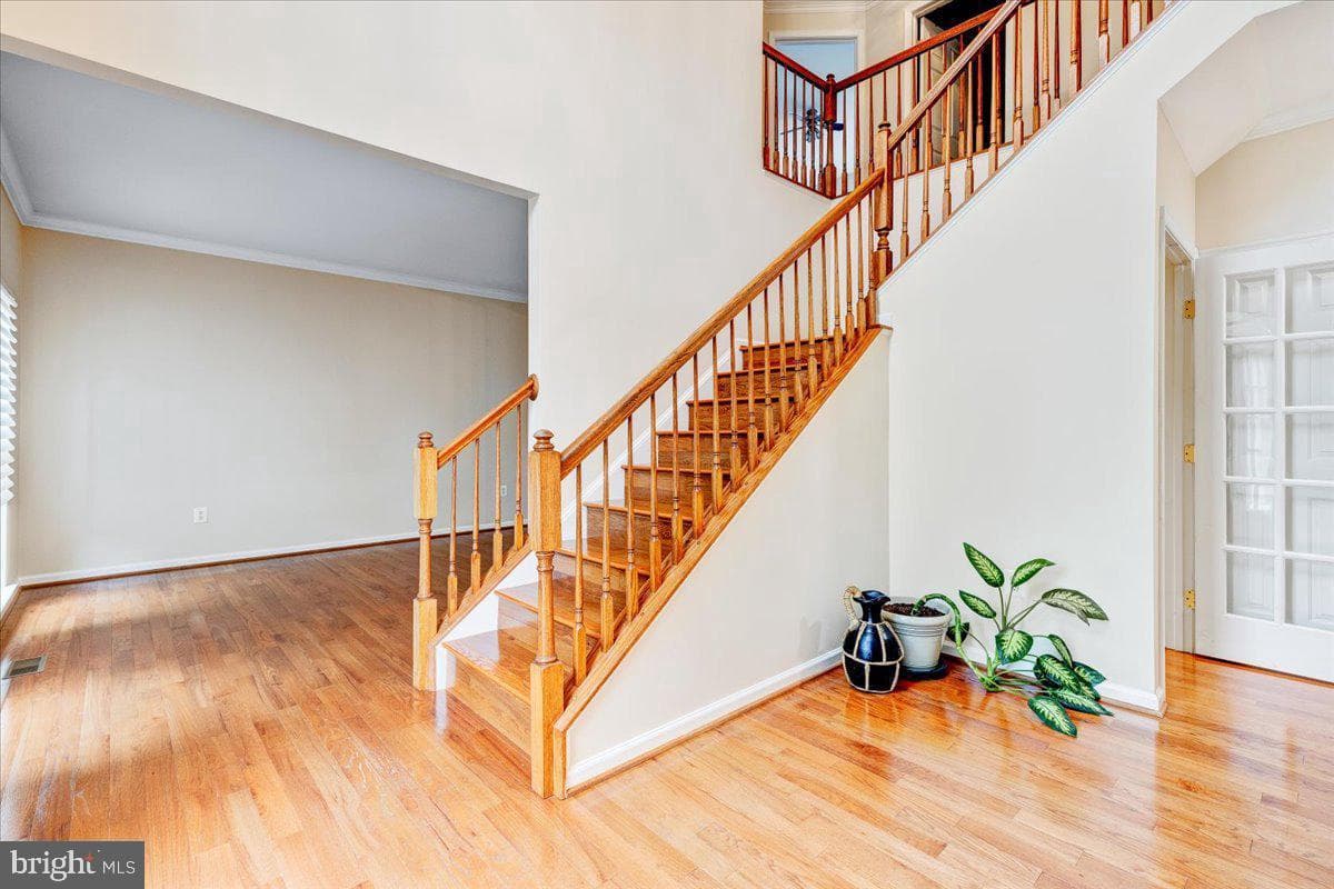 3030 Lundt Court photo 6