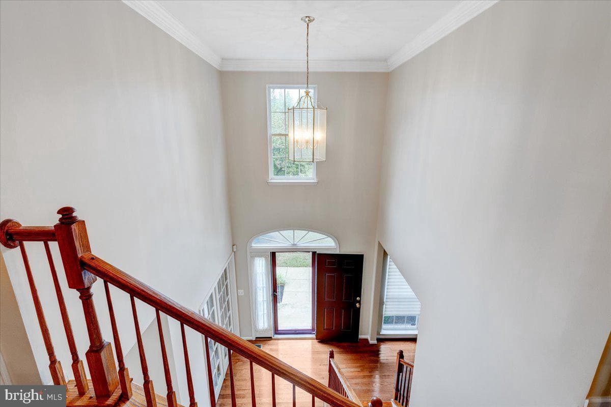 3030 Lundt Court photo 9