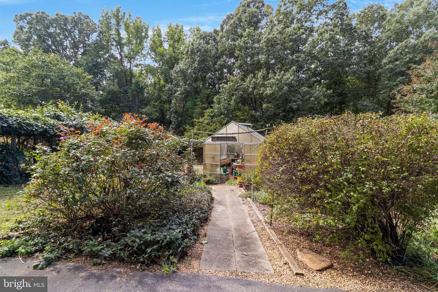 12824 Norwood Drive photo 51