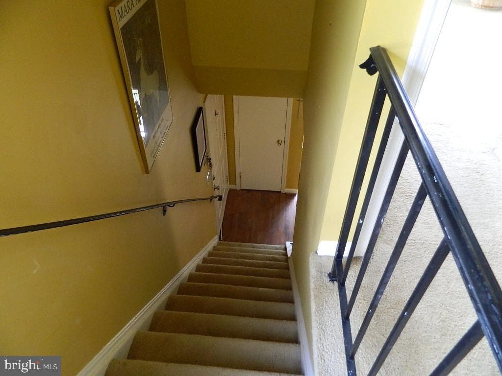 119 Kalmia Court photo 13