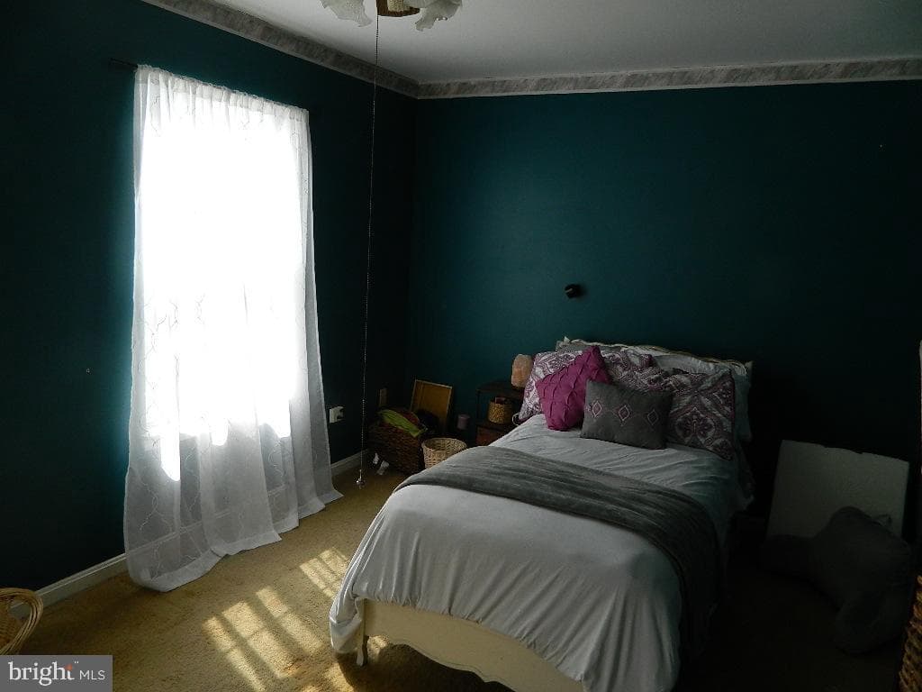 119 Kalmia Court photo 14