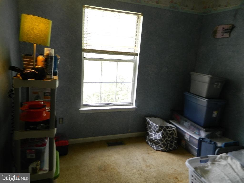 119 Kalmia Court photo 16