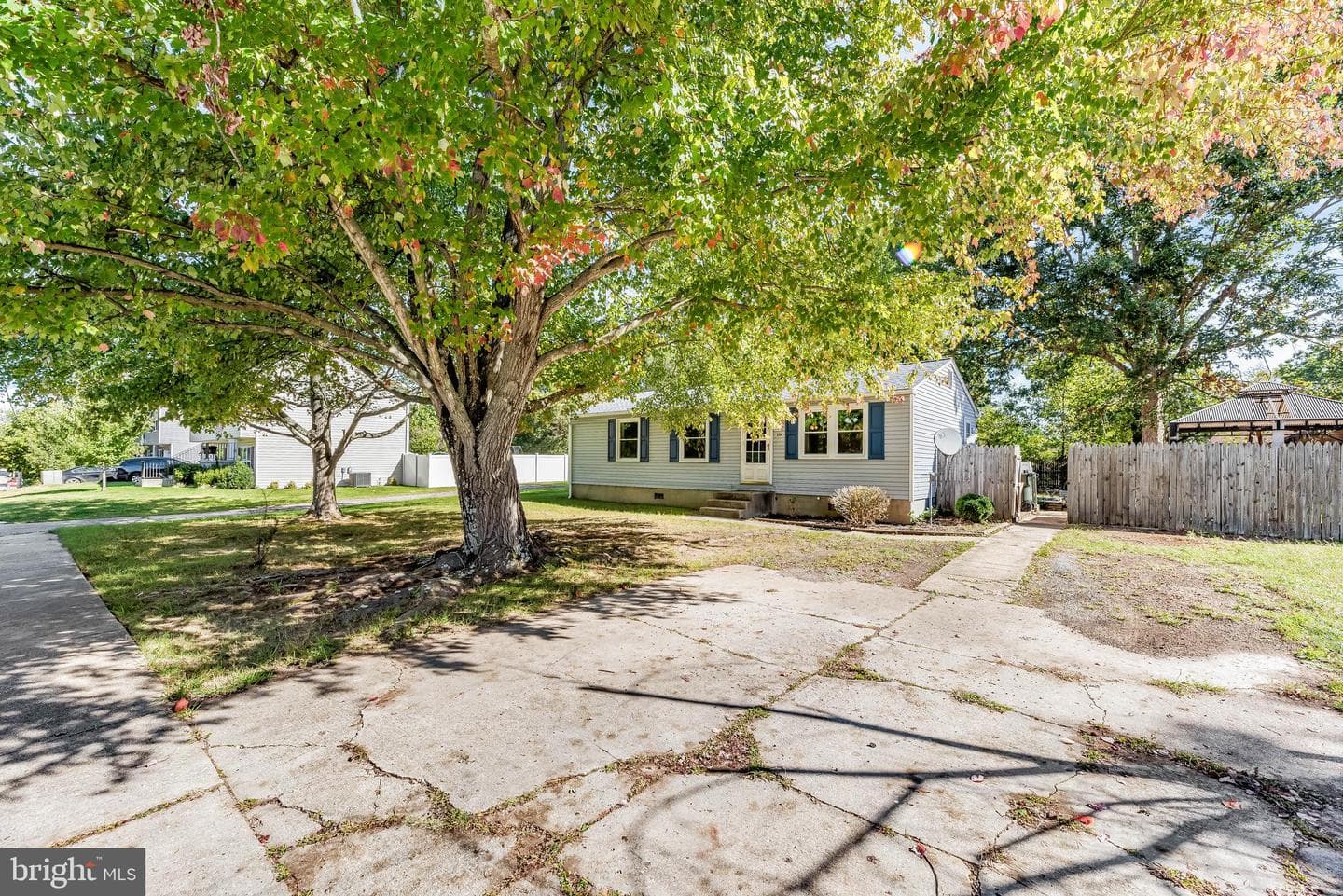 506 Saint Marys Avenue photo 3