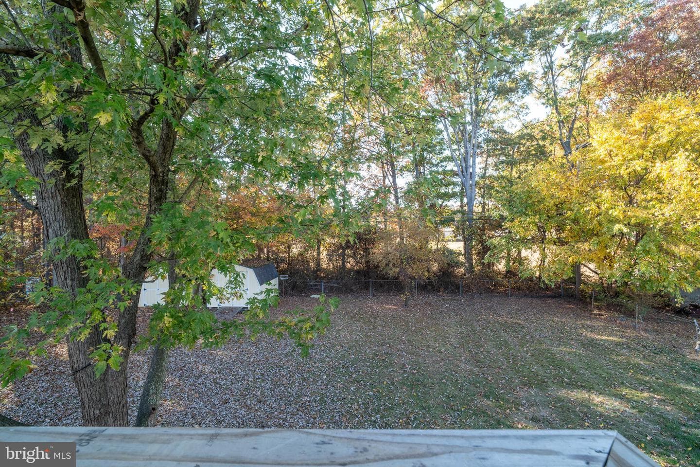 1106 Clark Avenue photo 35