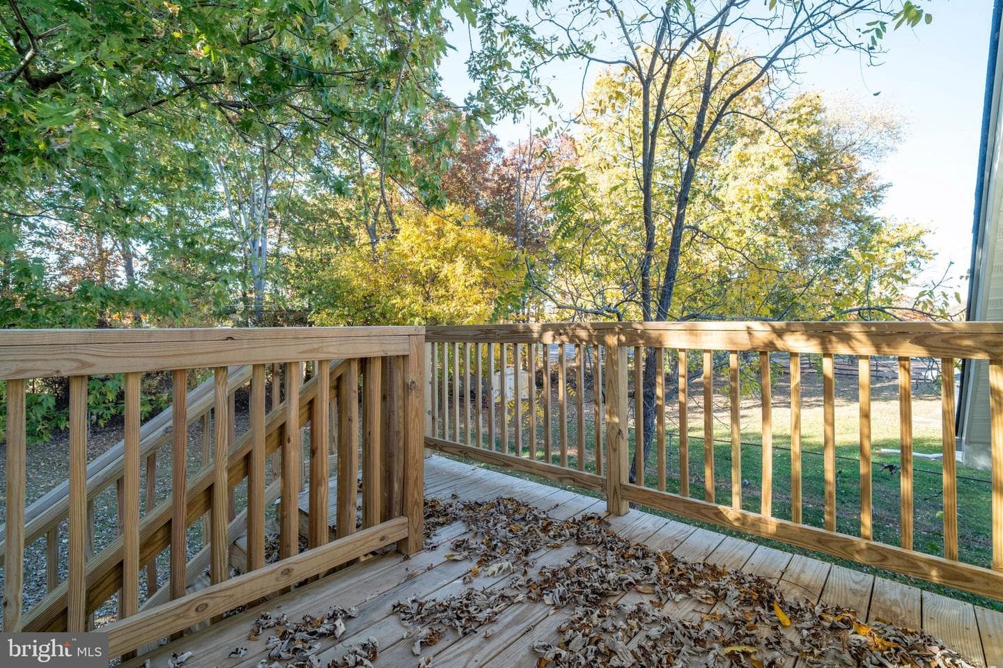 1106 Clark Avenue photo 43