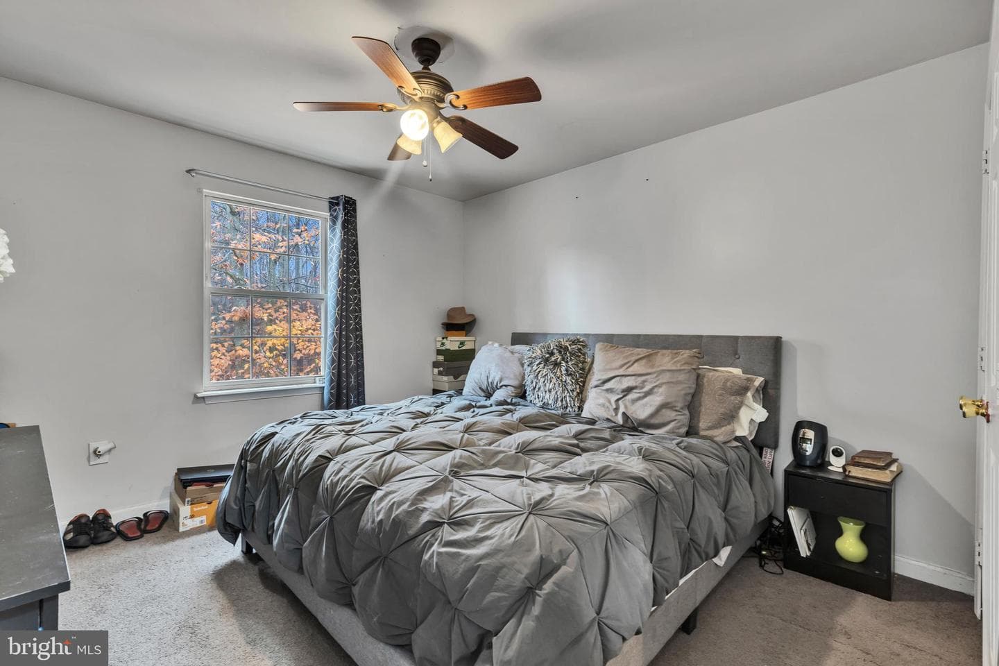 3605 Dewey Court photo 15