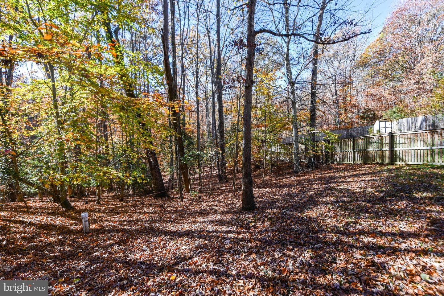 16550 Delmarva Court photo 10