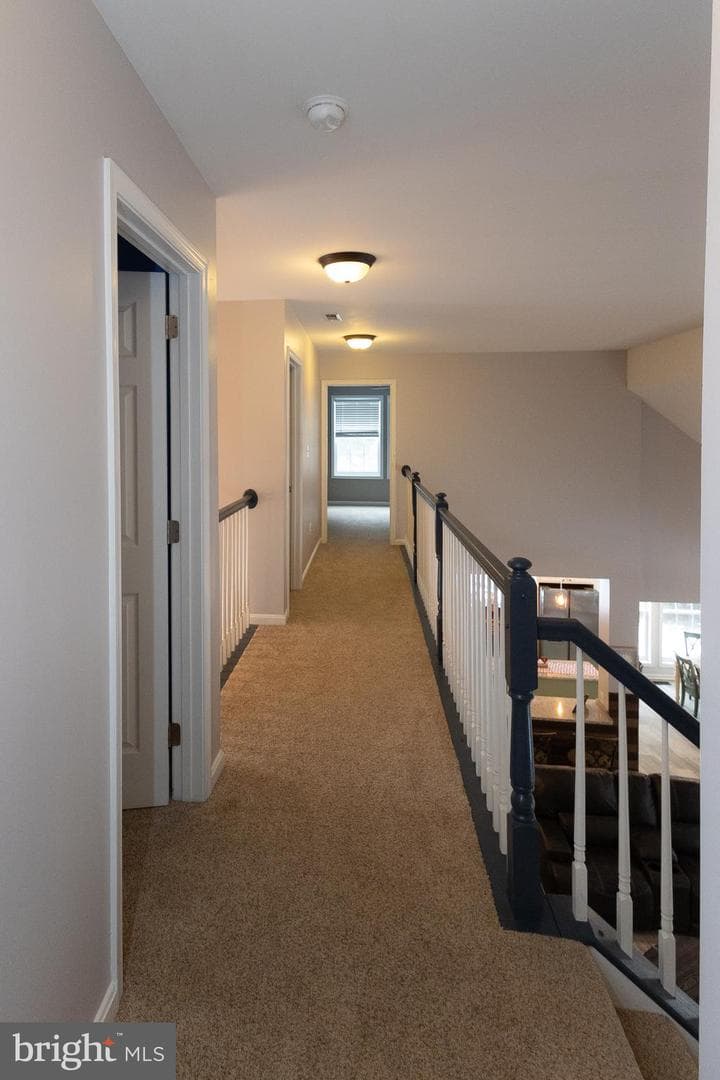 11547 Wollaston Circle photo 37