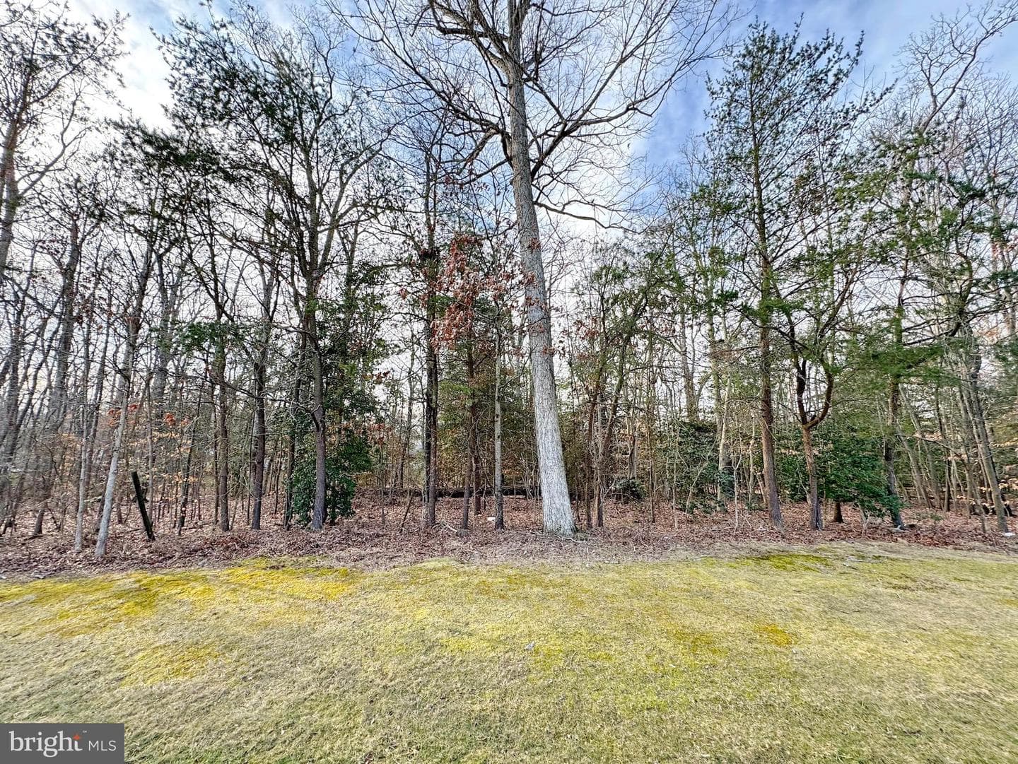 2645 Mirkwood Court photo 51