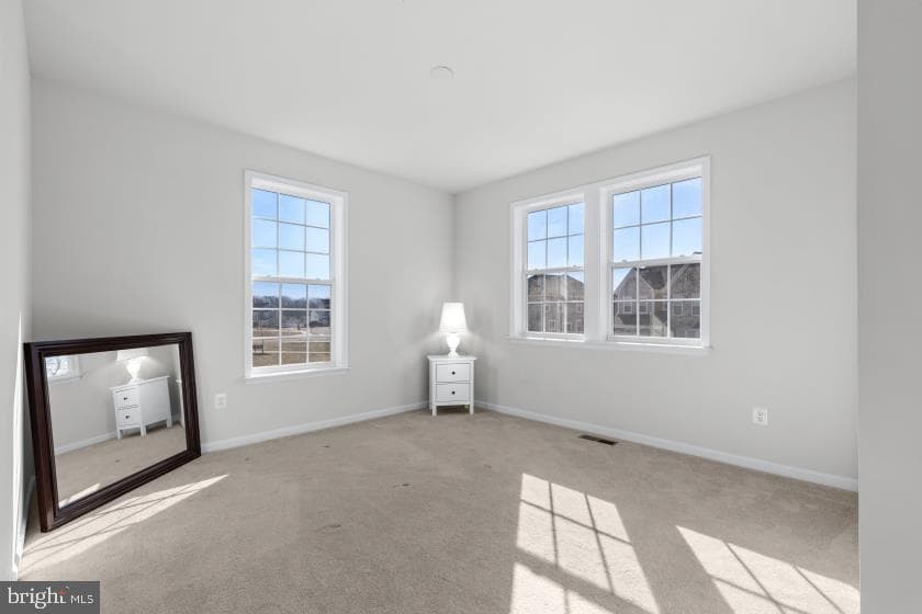 2426 Tree Vista Court photo 40