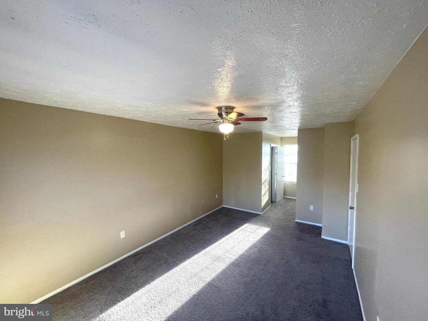4838 Meadowlark Lane photo 7
