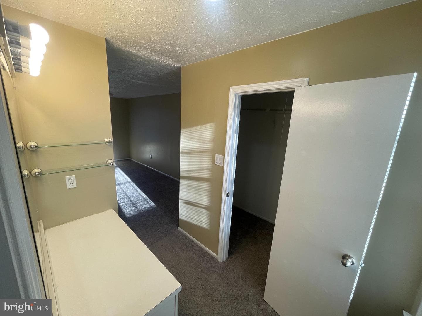 4838 Meadowlark Lane photo 9