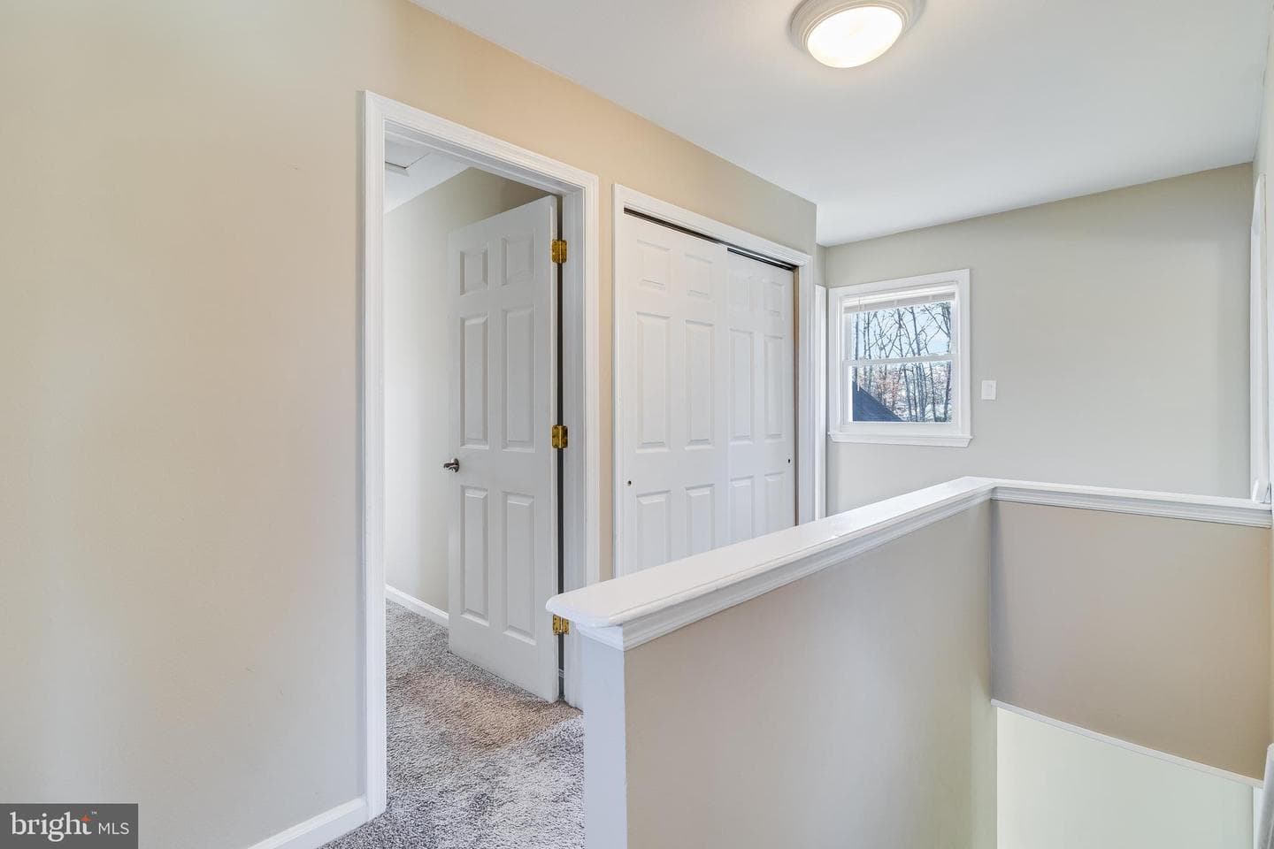 1115 Clark Avenue photo 20