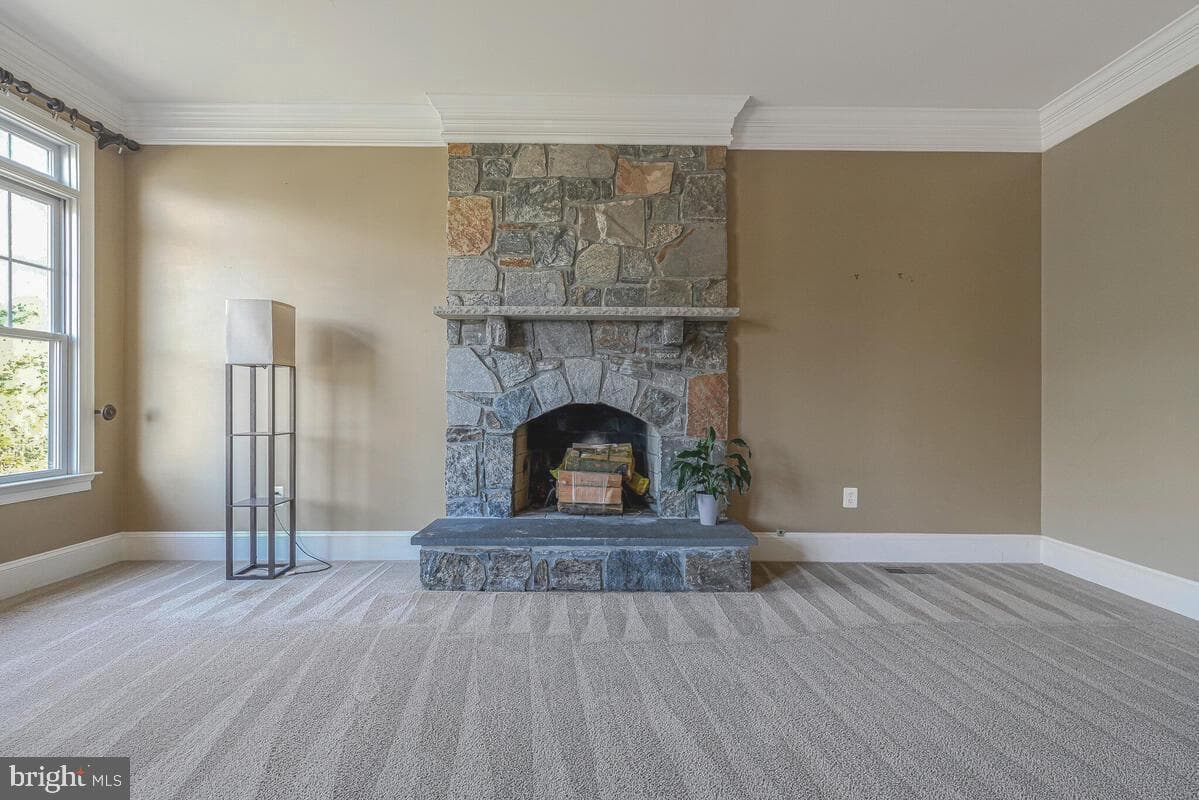 3029 Dahoon Court photo 20