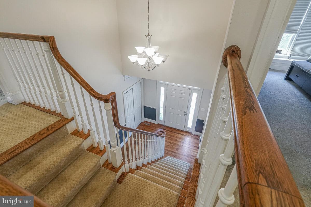 3029 Dahoon Court photo 25