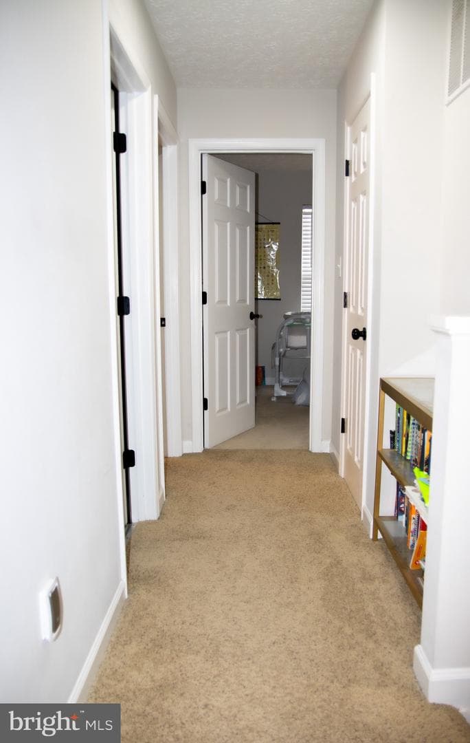 11945 Calico Woods Place photo 23