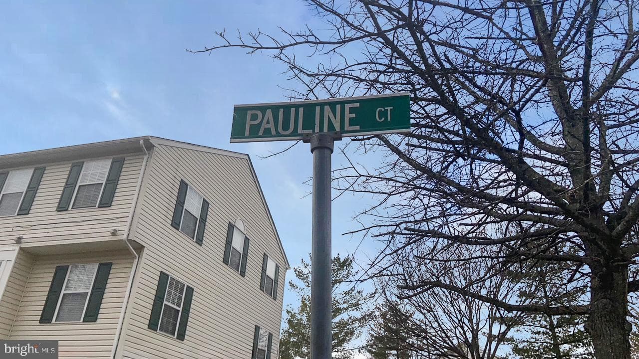 6704 Pauline Court photo 21