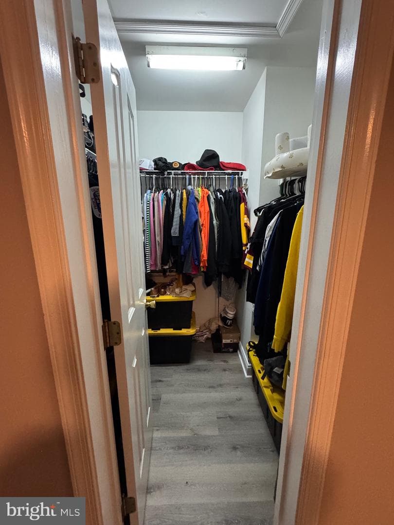12421 Turtle Dove Place photo 32