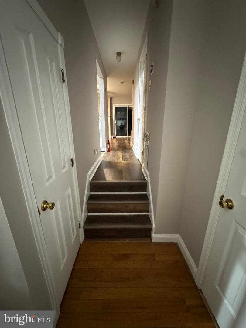 12421 Turtle Dove Place photo 33