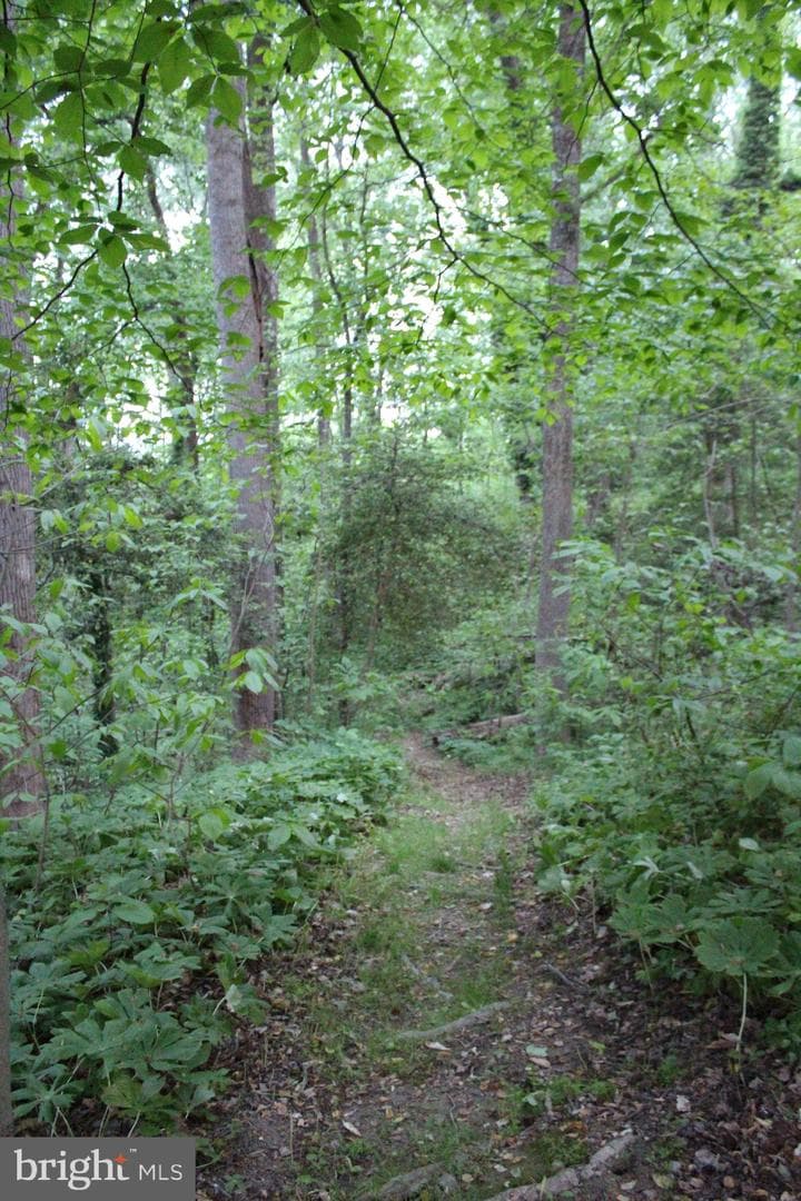 5290 Hickory Creek Place photo 37