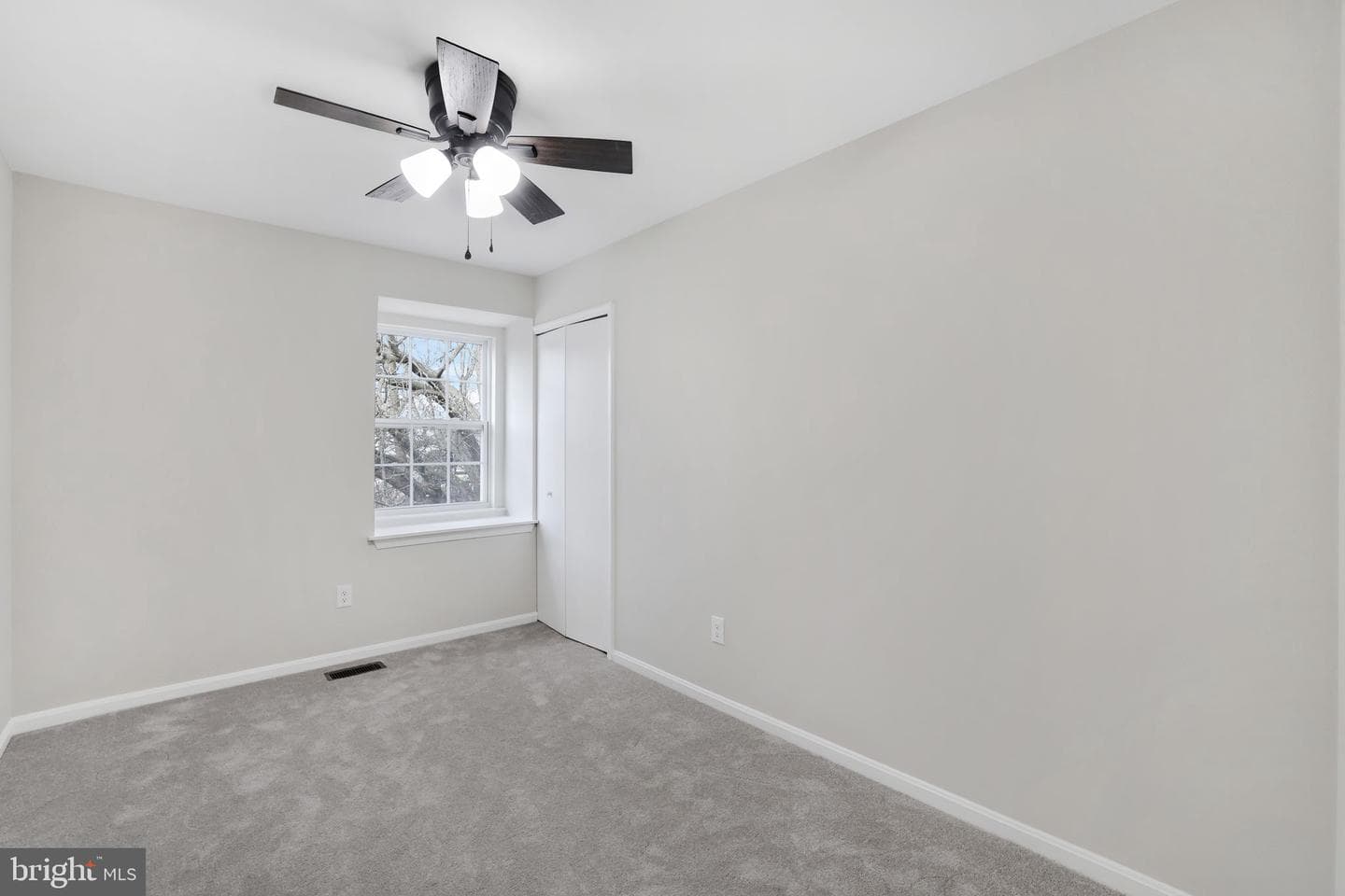 815 Cedar Court photo 19