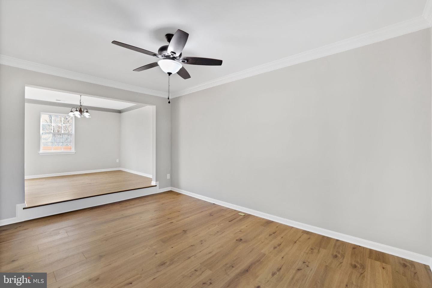 815 Cedar Court photo 7