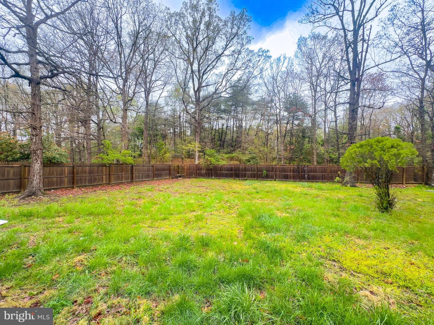 2204 Holly Oak Court photo 16