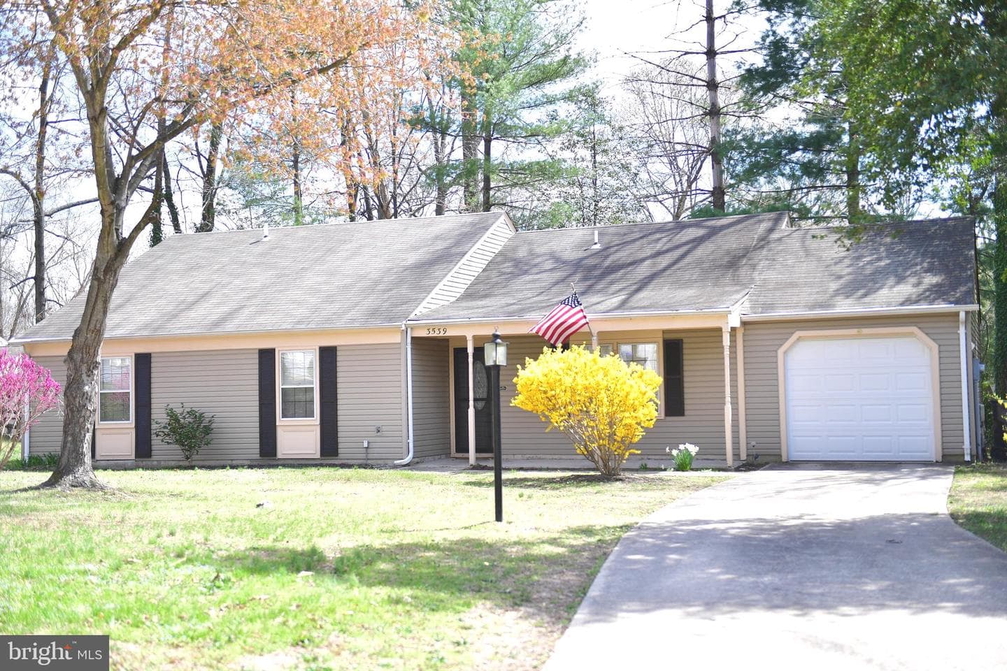3539 Smokethorn Court, Waldorf