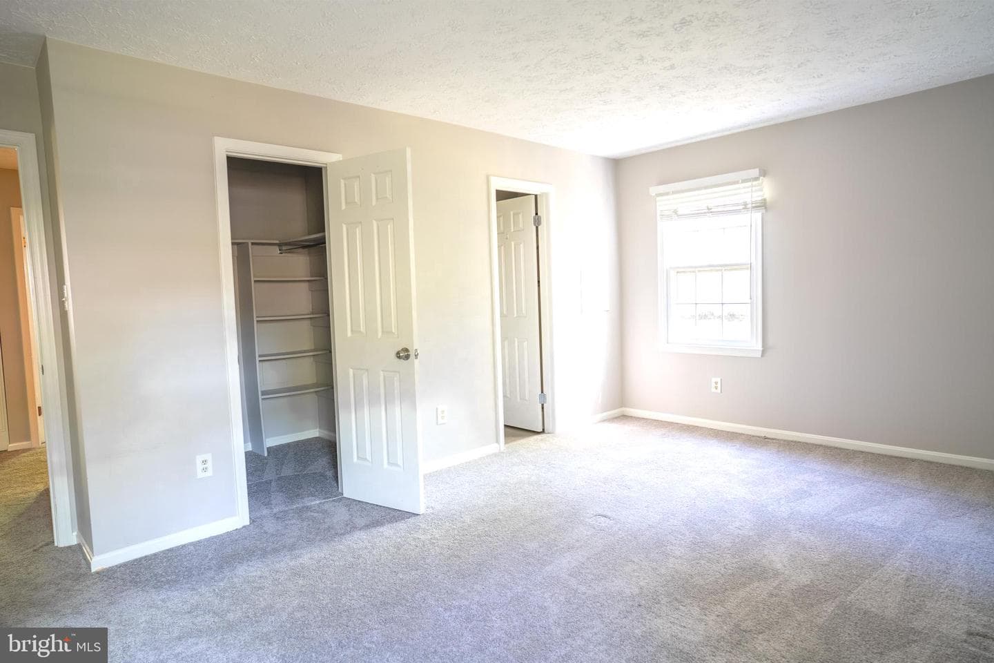 3539 Smokethorn Court photo 25