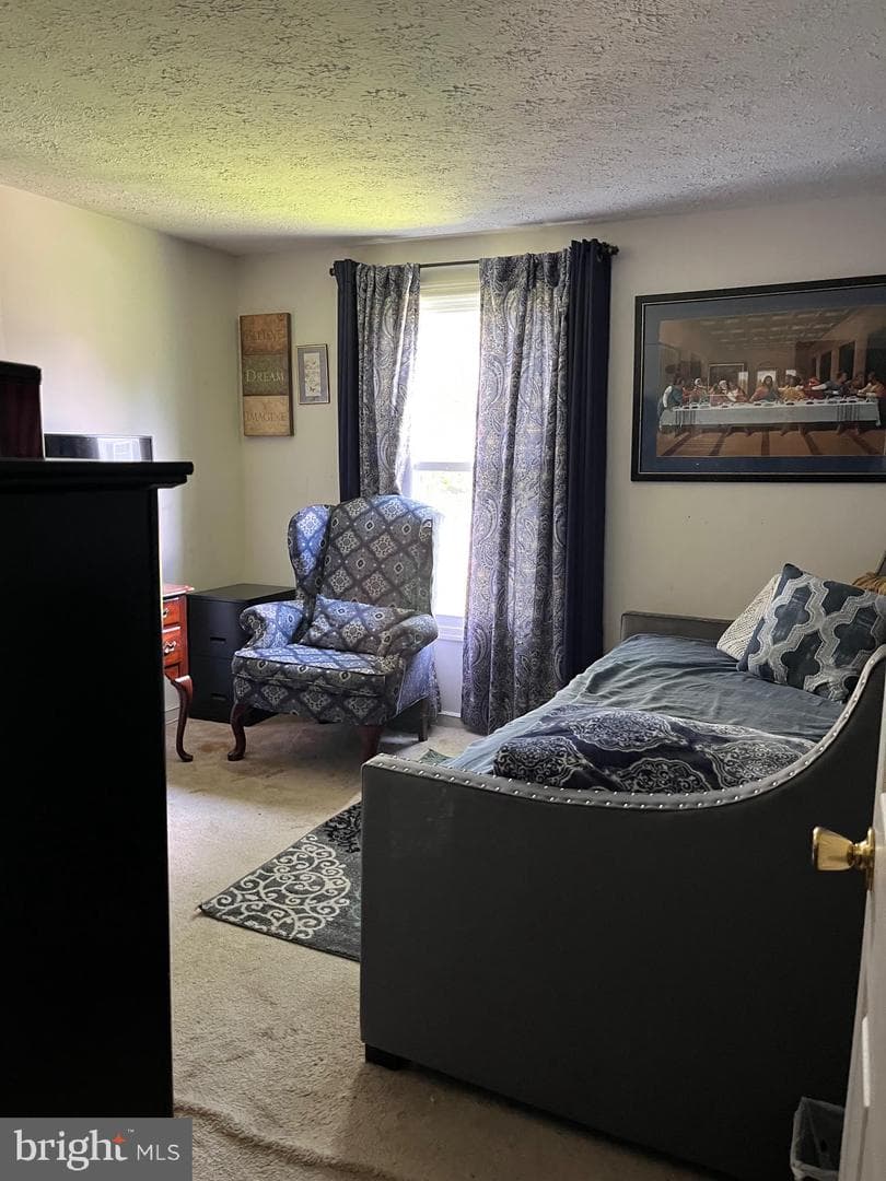 4071 Powell Court photo 5