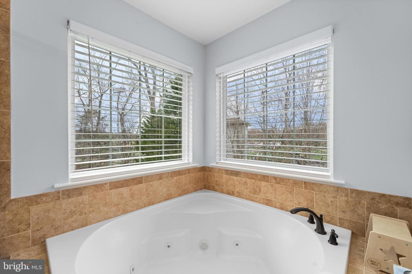 5927 Preswicke Lane photo 36