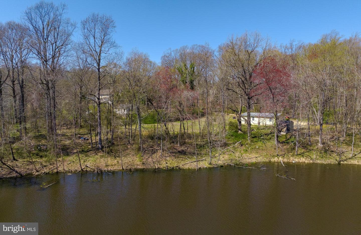 10345 Carmel Drive photo 14