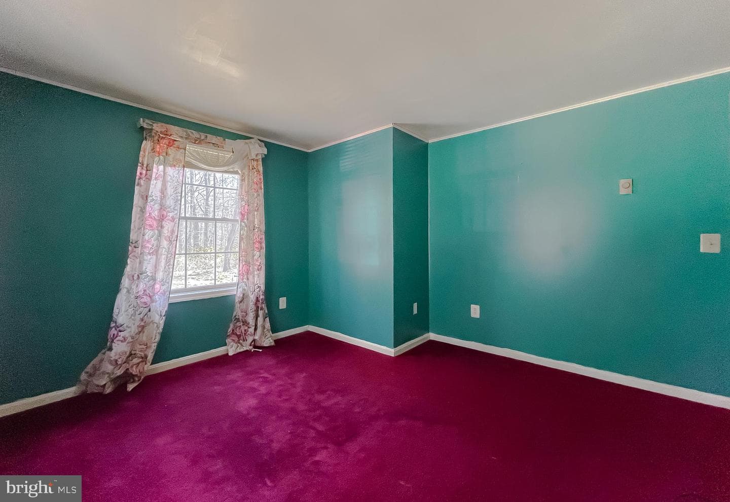10345 Carmel Drive photo 33