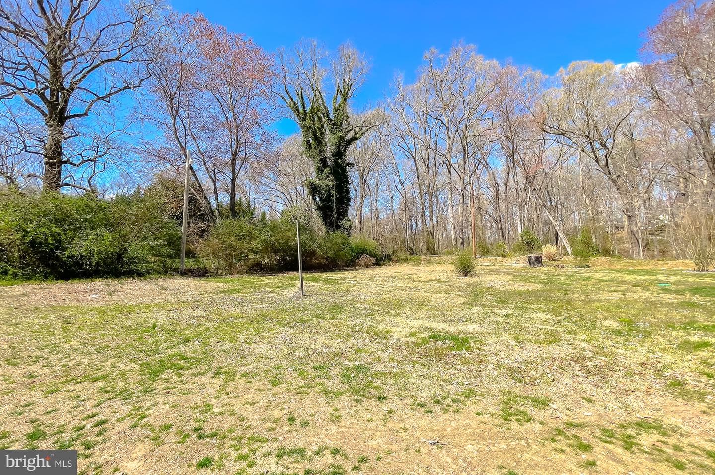 10345 Carmel Drive photo 47